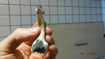 DSCF2549.JPG