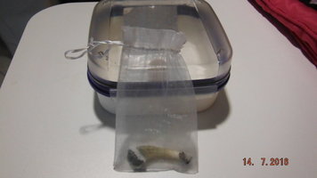 DSCF2551.JPG