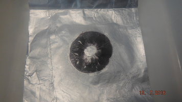 DSCF2557.JPG