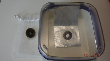 DSCF2558.JPG