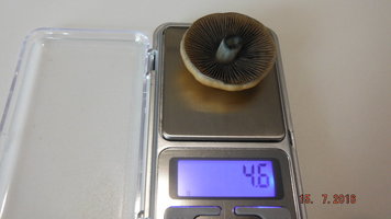 DSCF2560.JPG