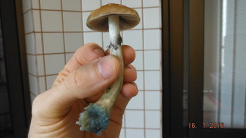 DSCF2569.JPG