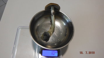 DSCF2570.JPG