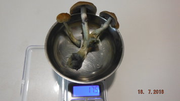 DSCF2571.JPG