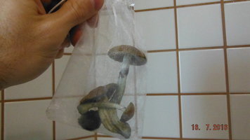 DSCF2573.JPG