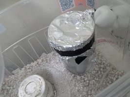 H25K-pz.jpg