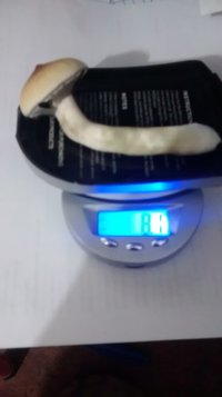 colheita do in vitro.jpg