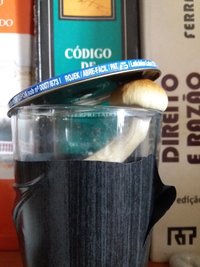 in vitro hoje.jpg