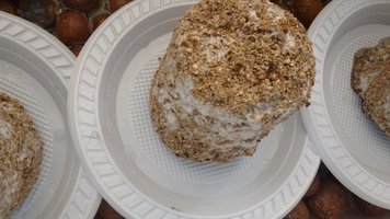 IMG_20160720_111706546.jpg