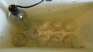 DSCF2574.JPG