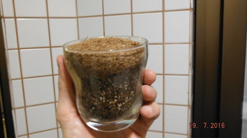 DSCF2580.JPG