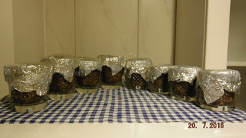 DSCF2593.JPG