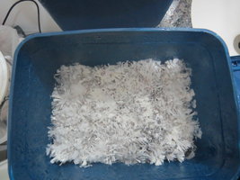 Pote2.JPG