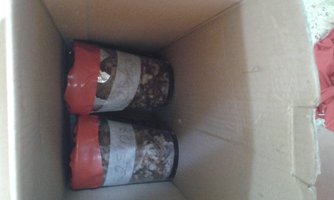 IMG-20160725-WA0008.jpeg