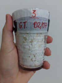 20160727_173950.jpg