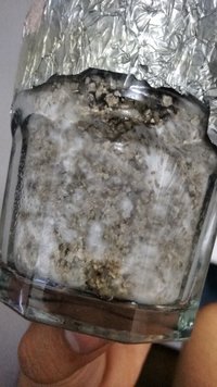 IMG_20160729_043559144.jpg