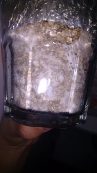IMG_20160729_043530584.jpg