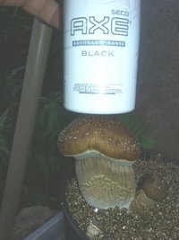 1469821211011.jpg