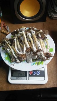 20160729_092217.jpg