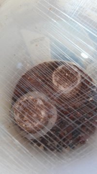 20160731_103310.jpg