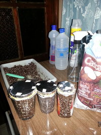 20160730_202258.jpg