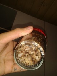20160802_164814.jpg