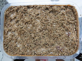 Bandeja1Pins.JPG