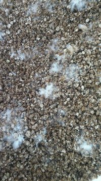 20160804_133847.jpg