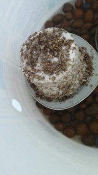 20160804_134015.jpg