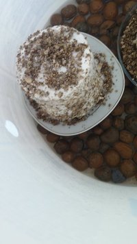 20160804_134018.jpg