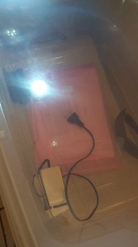 20160804_134353.jpg
