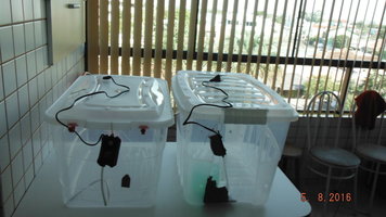DSCF2626.JPG