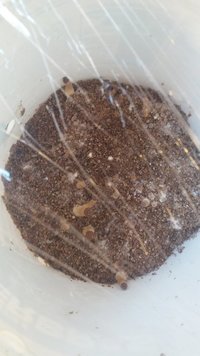 20160806_171820.jpg