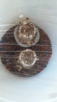 20160806_172116.jpg