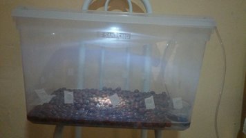 20160806_150038.jpg