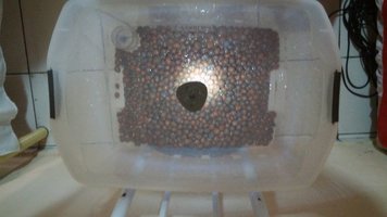 20160806_150032.jpg