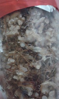 IMG-20160807-WA0011.jpeg