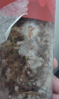 IMG-20160807-WA0009.jpeg