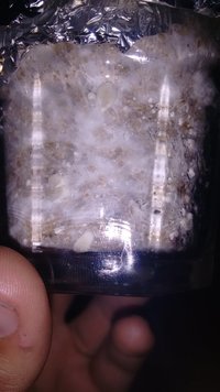 IMG_20160807_134747815.jpg