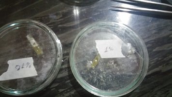 20160808_212312.jpg