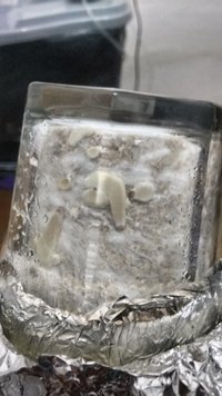 IMG_20160808_235406675.jpg