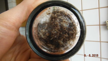 DSCF2652.JPG