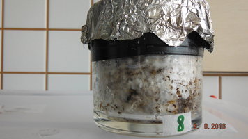 DSCF2650.JPG