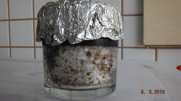 DSCF2651.JPG