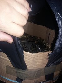 20160809_195338.jpg