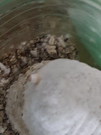 20160809_203633.jpg