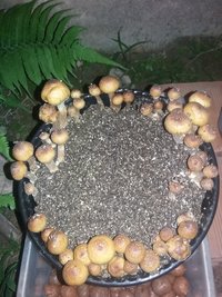 20160808_200313.jpg