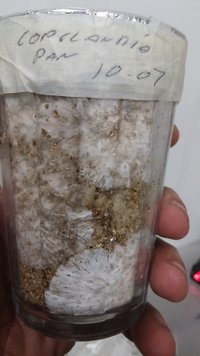 20160722_174449.jpg