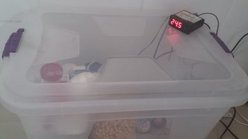 20160605_130825.jpg