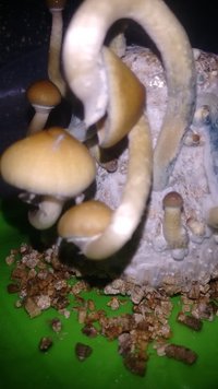 IMG_20160813_150554736.jpg